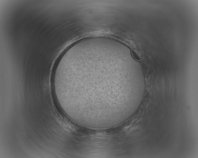 X0000073970196200609111751