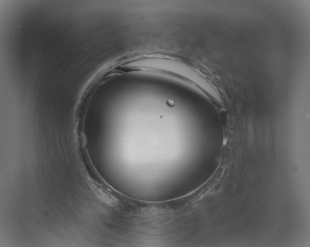 X0000073970197200609111751