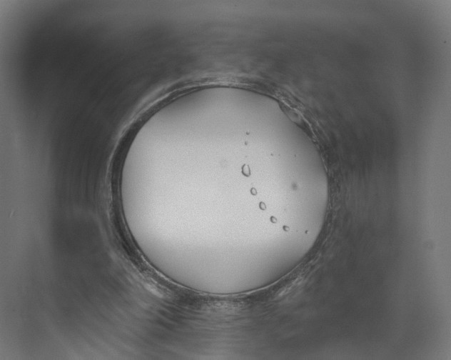 X0000073970198200609111751