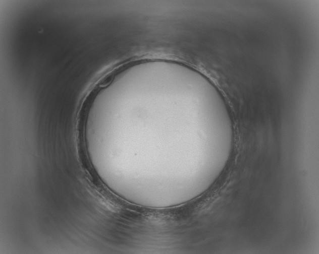 X0000073970199200609111751