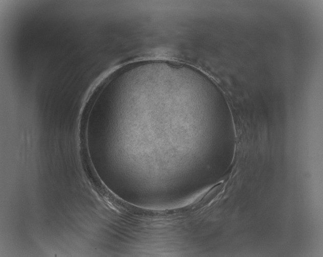 X0000073970200200609111751