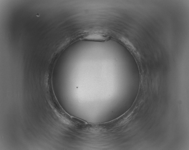 X0000073970201200609111750