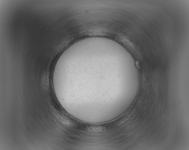 X0000073970202200609111750