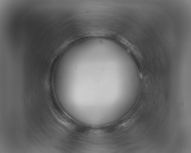 X0000073970203200609111750