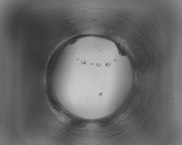 X0000073970204200609111750