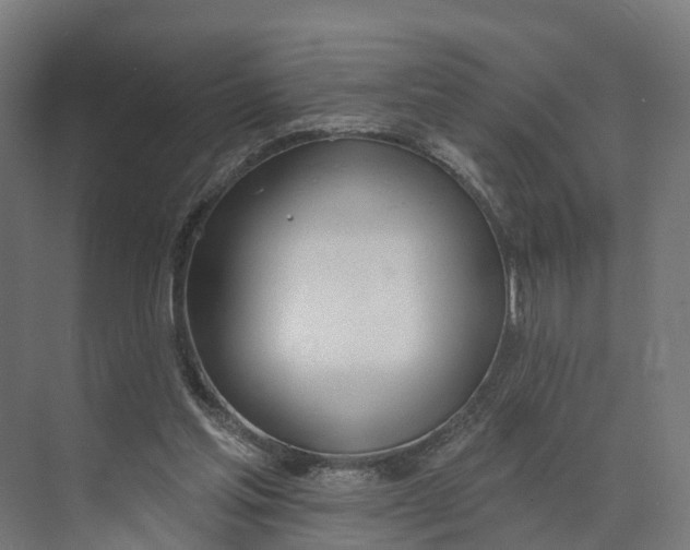 X0000073970205200609111750