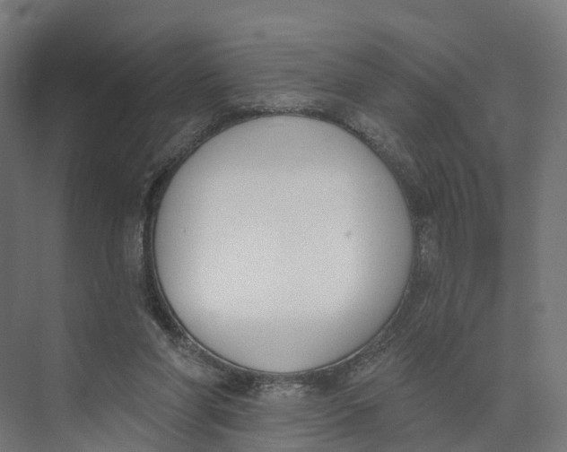 X0000073970206200609111750