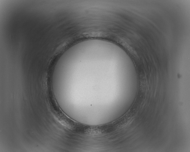 X0000073970207200609111750