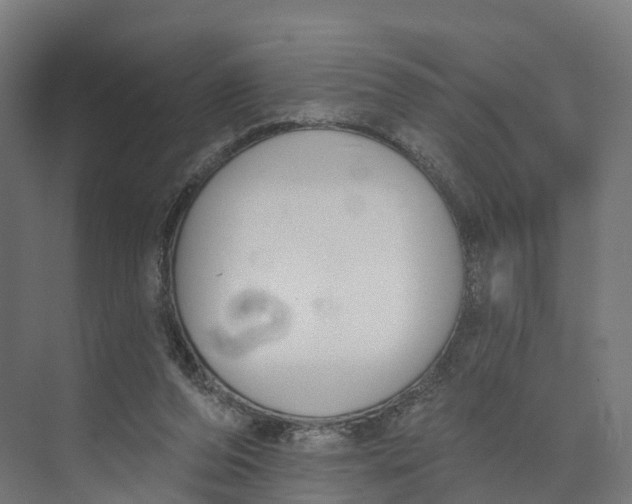 X0000073970208200609111750