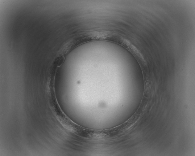 X0000073970209200609111750