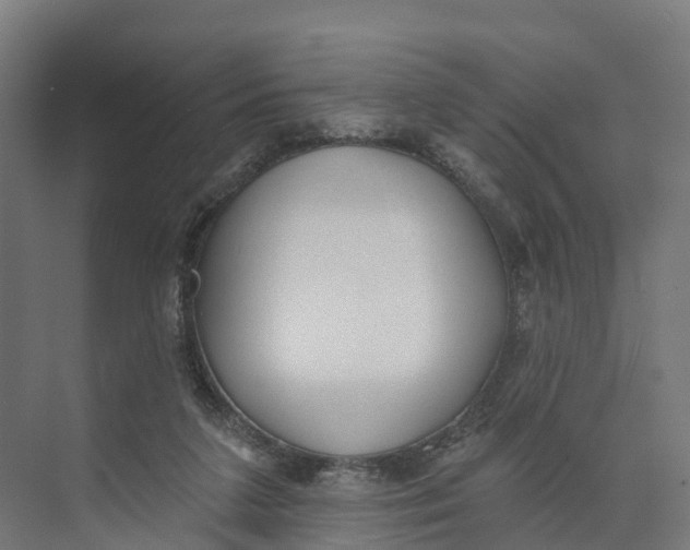 X0000073970211200609111750