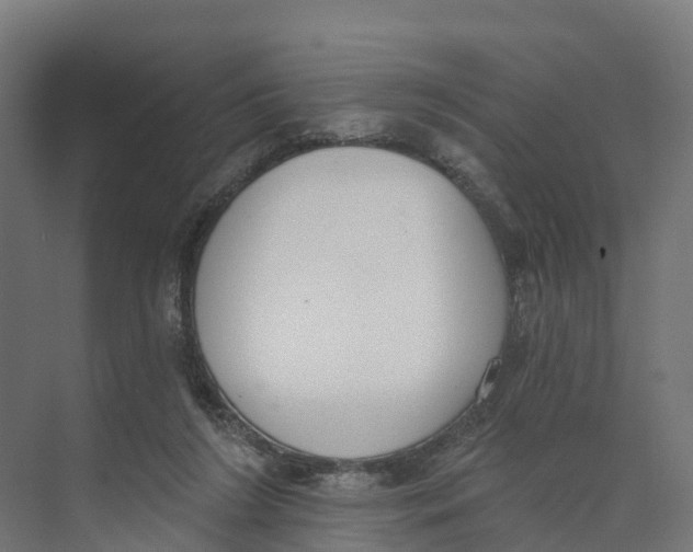 X0000073970212200609111750