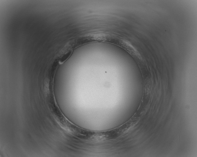 X0000073970213200609111750