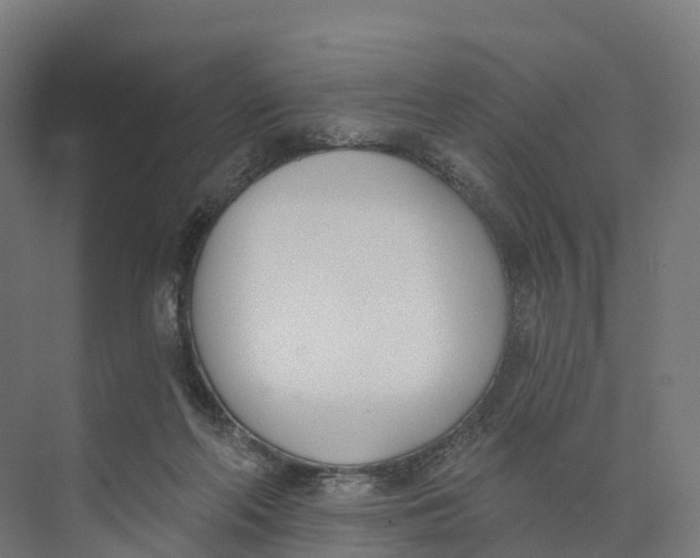 X0000073970214200609111750