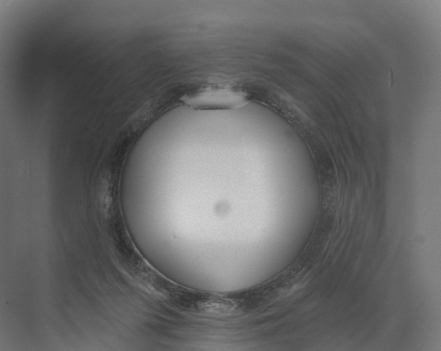 X0000073970215200609111750