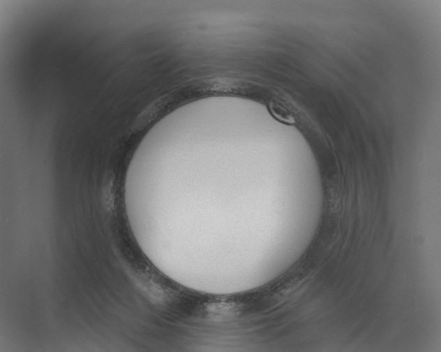 X0000073970216200609111750