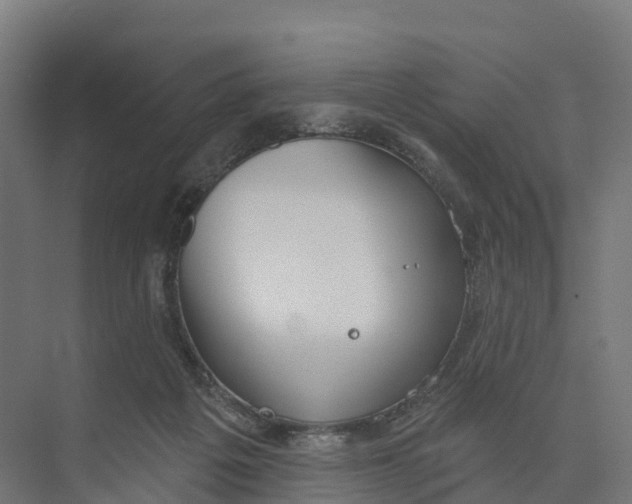 X0000073970217200609111750