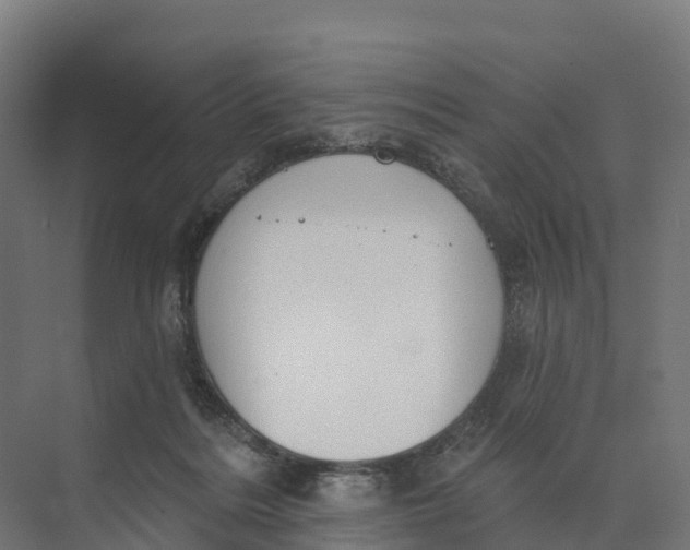 X0000073970220200609111750