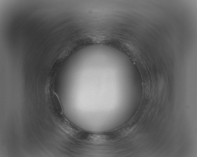 X0000073970221200609111750