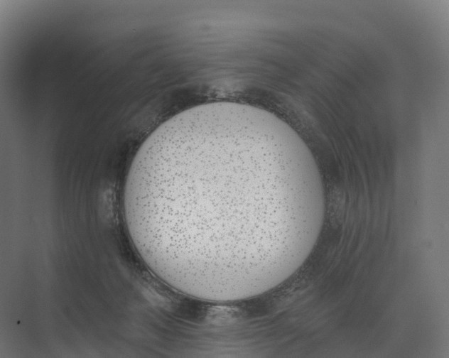 X0000073970222200609111750