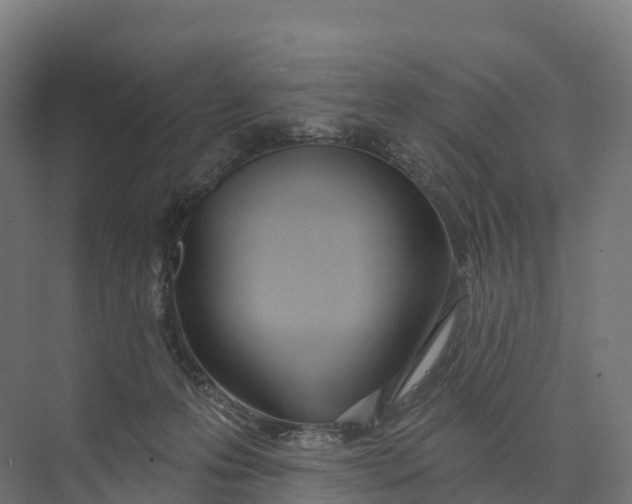 X0000073970223200609111750