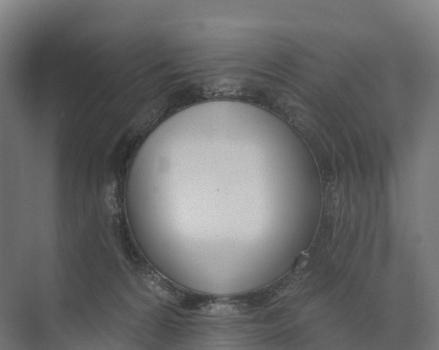 X0000073970224200609111750