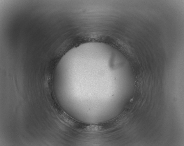 X0000073970225200609111750