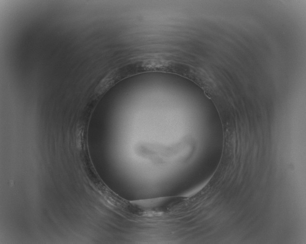 X0000073970227200609111750