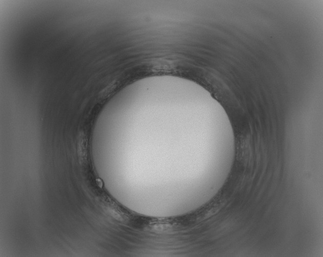 X0000073970228200609111750