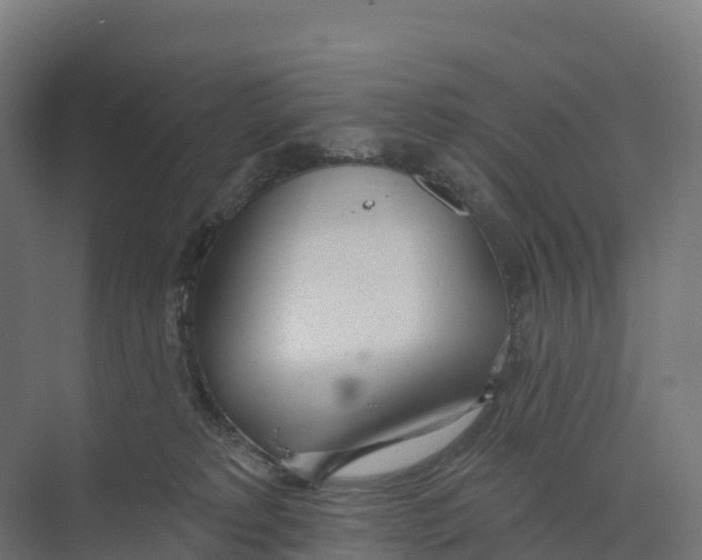 X0000073970229200609111750