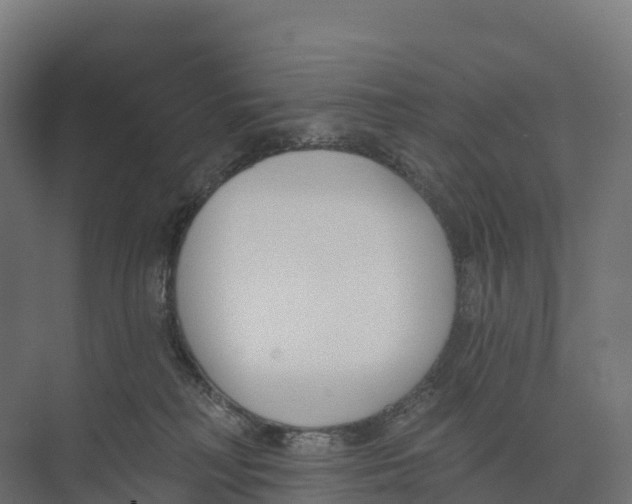 X0000073970230200609111750