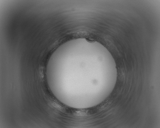 X0000073970232200609111750