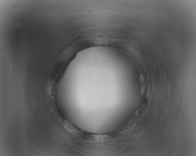 X0000073970233200609111750