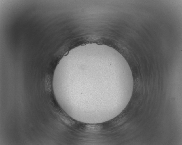 X0000073970234200609111750