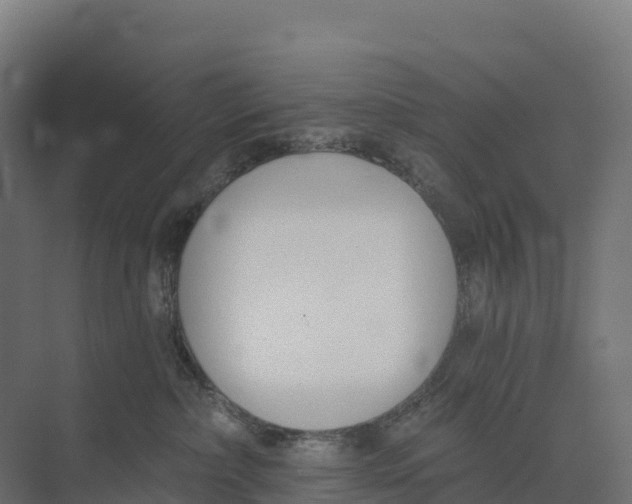 X0000073970236200609111750