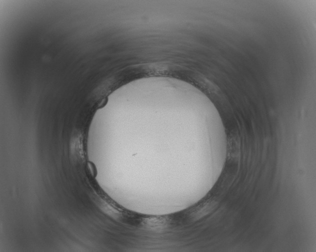 X0000073970238200609111750