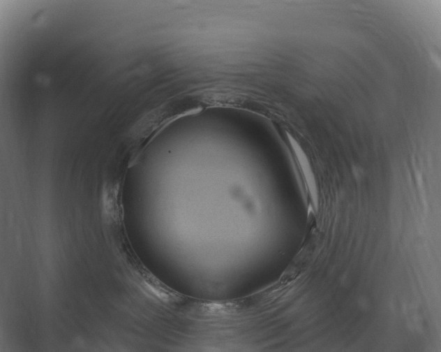 X0000073970239200609111750