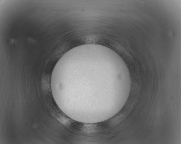 X0000073970240200609111750