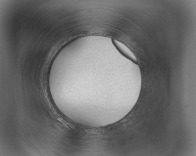 X0000073970241200609111749