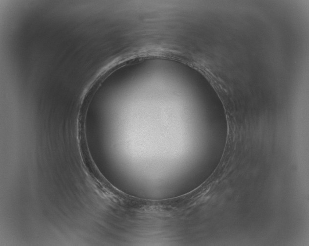 X0000073970244200609111749