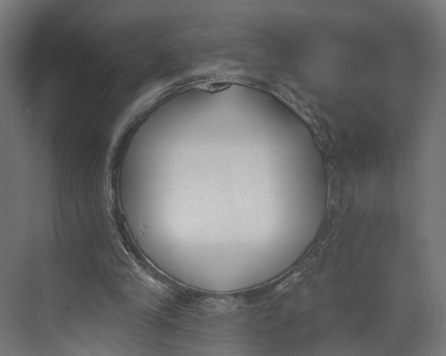 X0000073970245200609111749