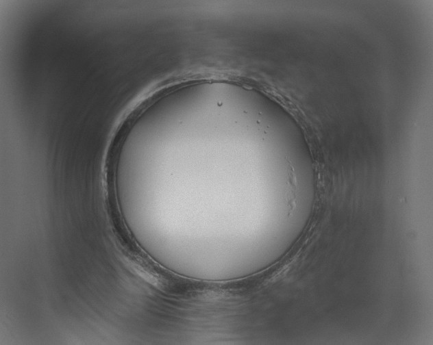 X0000073970246200609111749