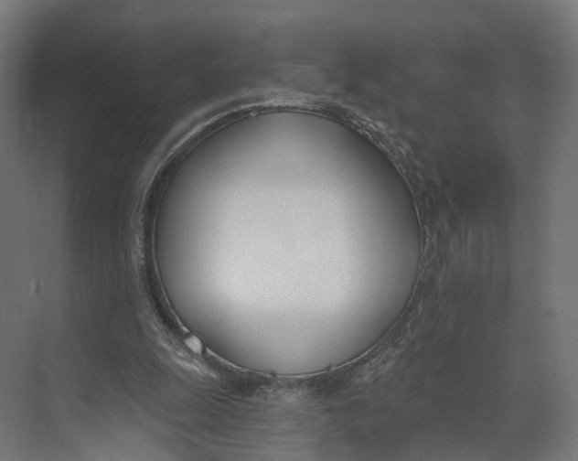 X0000073970247200609111749