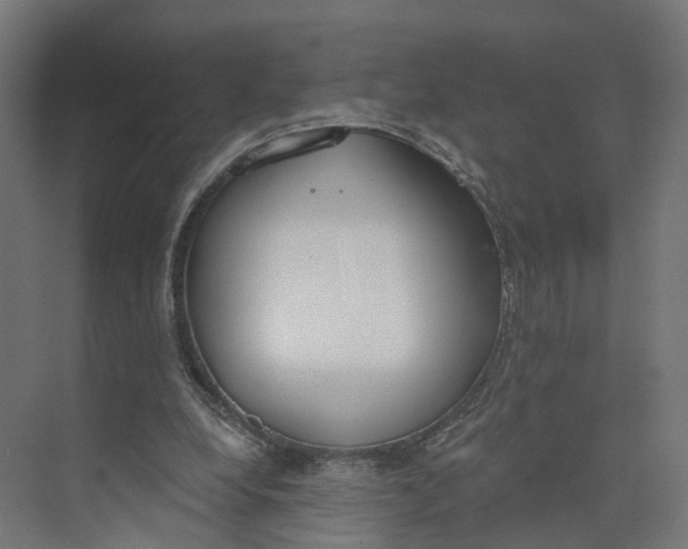 X0000073970248200609111749