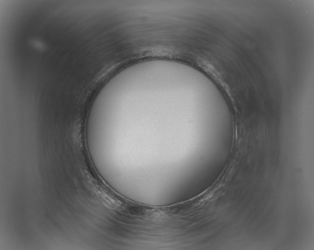 X0000073970249200609111749