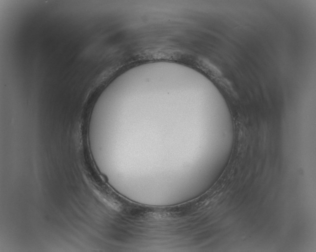 X0000073970250200609111749