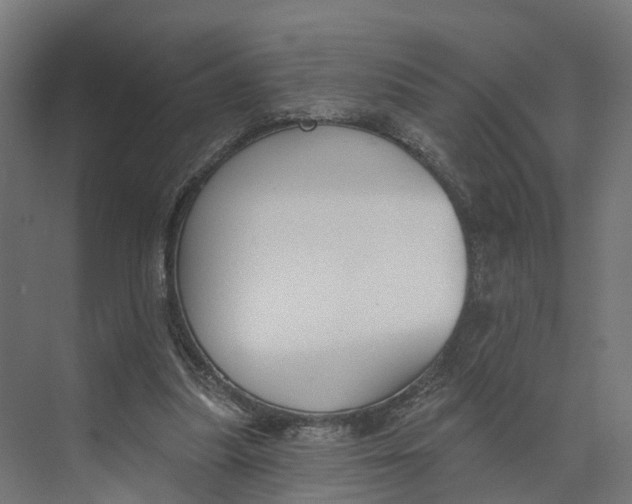 X0000073970251200609111749