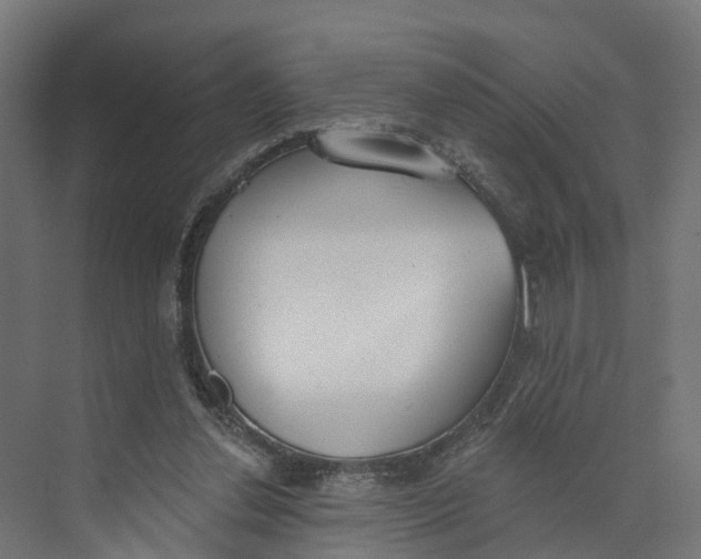 X0000073970252200609111749