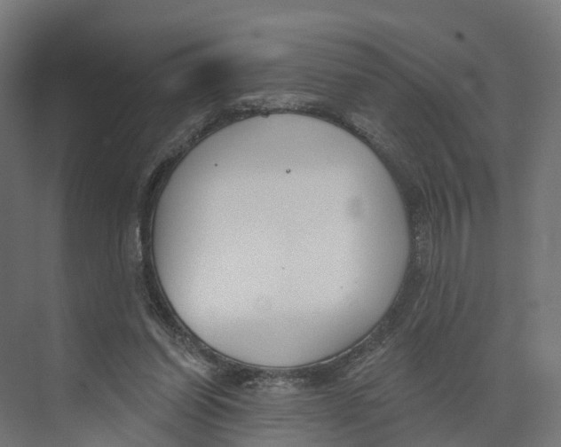 X0000073970254200609111749