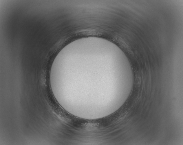 X0000073970255200609111749